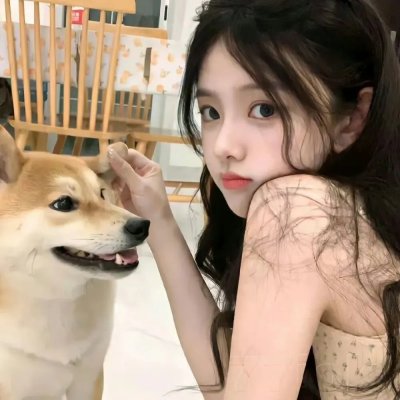 全面搜寻圣诞狗狗